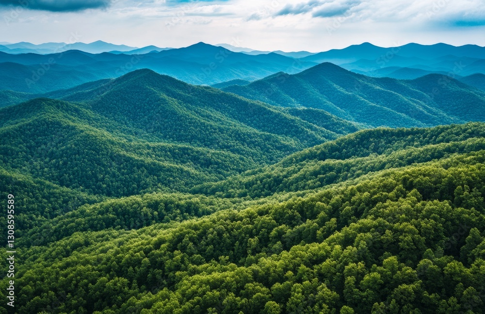 Fototapeta premium Appalachian Mountains vista, lush forests