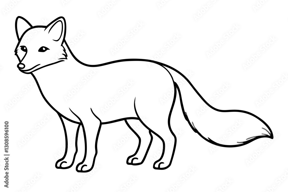 Fototapeta premium Elegant Arctic Fox Outline