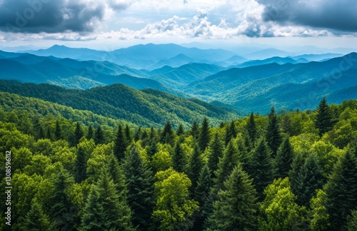 Appalachian Mountains, Scenic View, Lush Forest