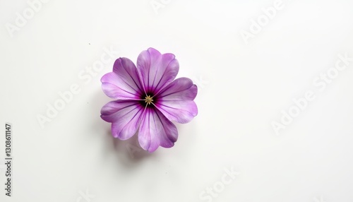 A single delicate purple flower lying on a white surface
