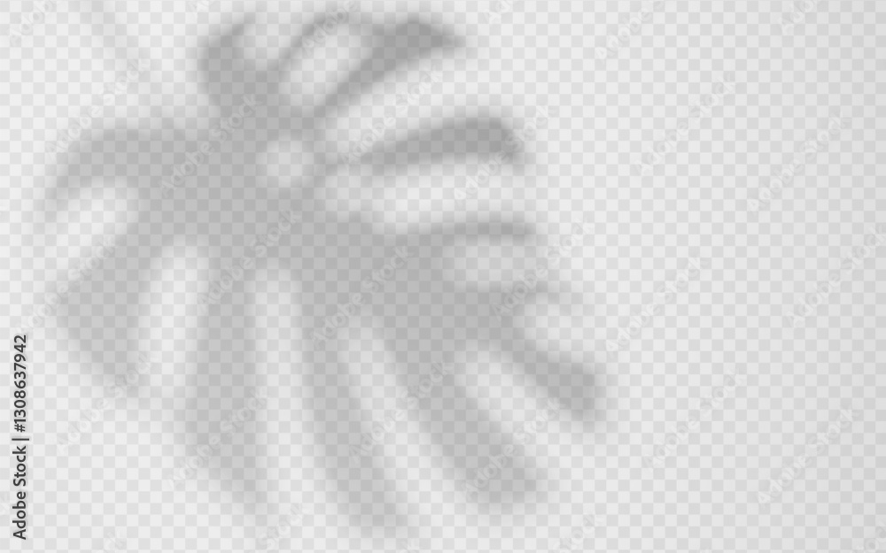 Fototapeta premium Shadow overlay from a Monstera leaf isolated on a transparent background.