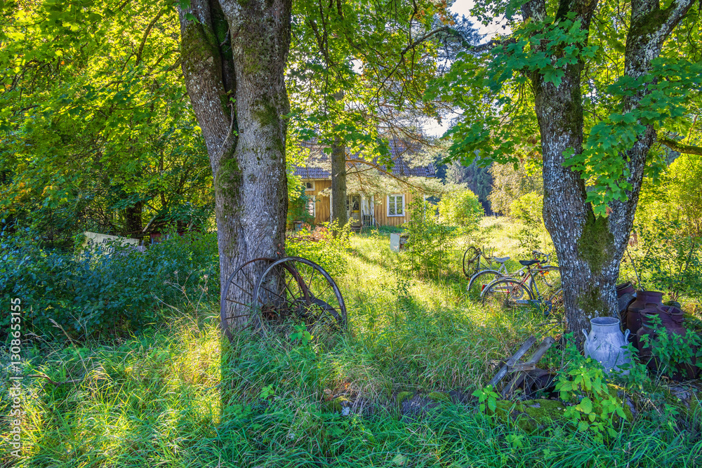 House in overgrown garden with lush green trees in the summer House in overgrown garden with lush green trees in the summer