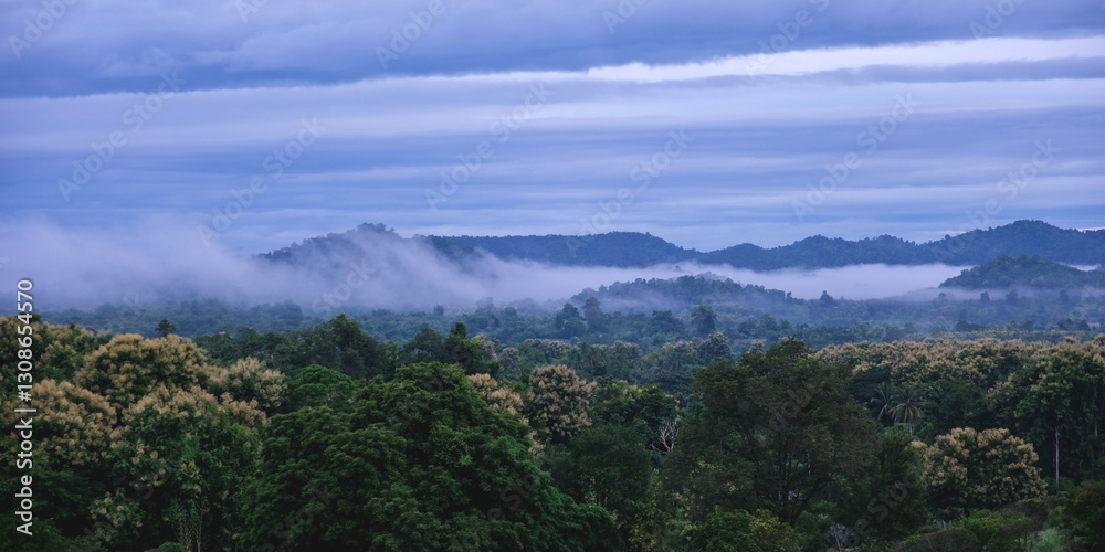 Greenery rainforest and hills on foggy day before sunrise Greenery rainforest and hills on foggy day before sunrise