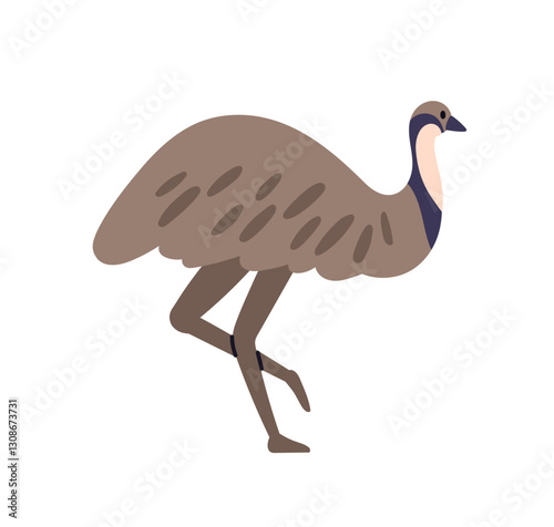 Emu ostrich walking. Large flightless bird with long legs, profile, side view. Exotic tropical wild animal, feathered fauna, mammal, wildlife. Flat vector illustration isolated on white background