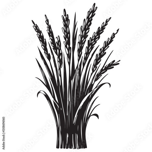 Sketch of wheat for Agricultural Harvest and Farming Concept
