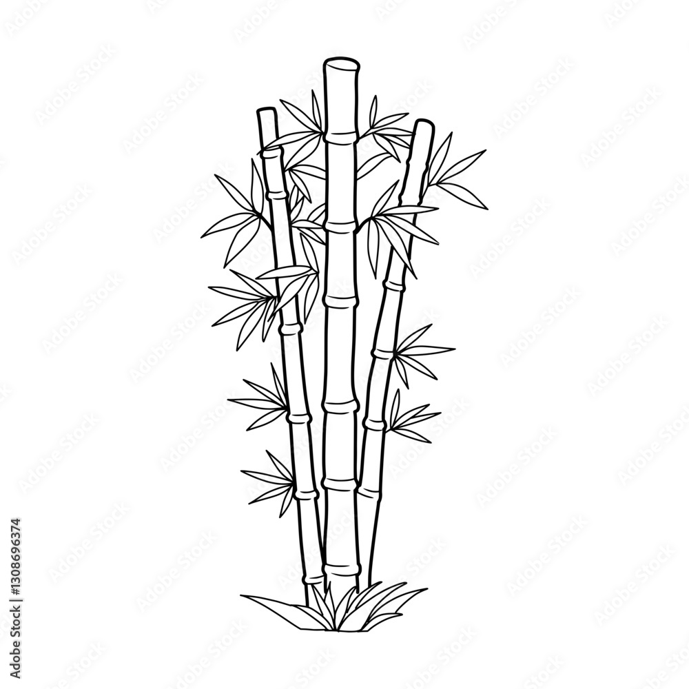 Obraz premium bamboo vector illustration