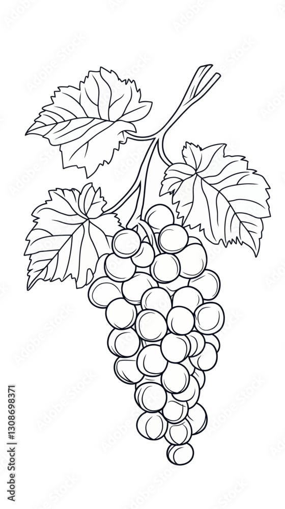 Obraz premium Minimalist Grapes Line Art for Coloring Books, Printable SVG Vector Design