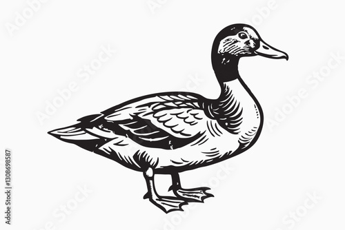 Hand drawn animals Flying duck. Black and white duck illustration design on a white background