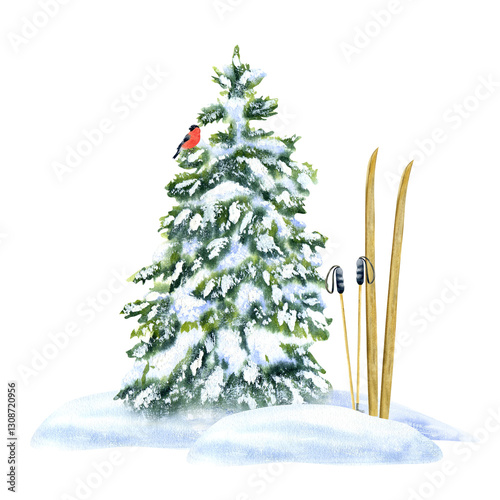 Skis and ski poles in a snowdrift near a spruce tree with a bird. Composition, Watercolor illustration, hand-drawn on a background isolated. For decor, design, printing and polygraphy, advertising