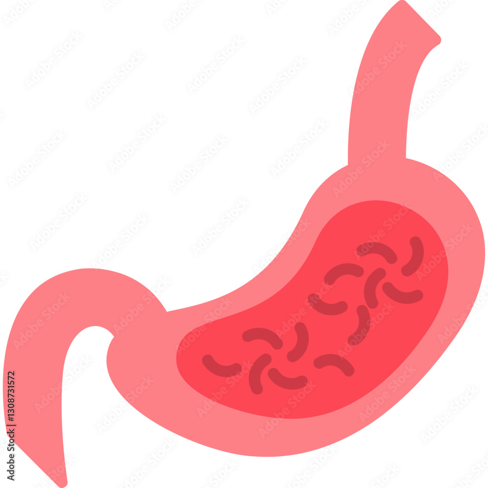 Stomach Icon Stomach Icon