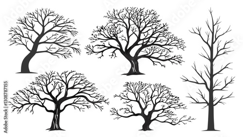 Elegant Seasonal Tree Illustration Depicting Spring, Autumn, and Winter with Swirling Branches and Vibrant Leaves on a White Background