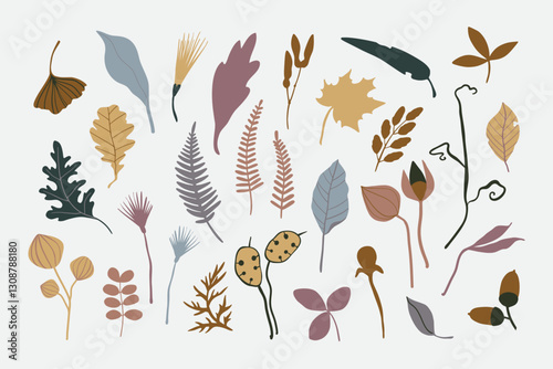 Vector set of floral elements: plants, leaves, dried herbs, wild flowers, acorns, seeds. Simple autumn collection. Floral silhouettes. Hand drawn vector flat botany set. Modern fall herbarium elements