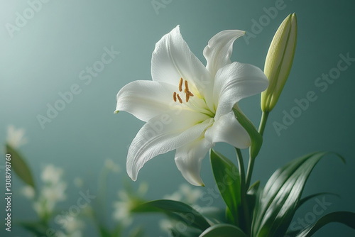 A close-up of an Easter lily, elegant and symbolic, holiday theme photo