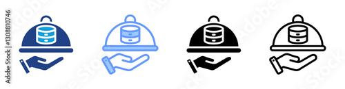 Data Steward icon set multiple style collection