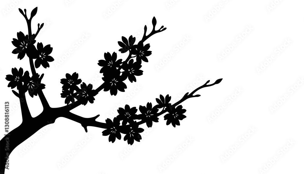 Naklejka premium Silhouette of cherry blossom branch on white background