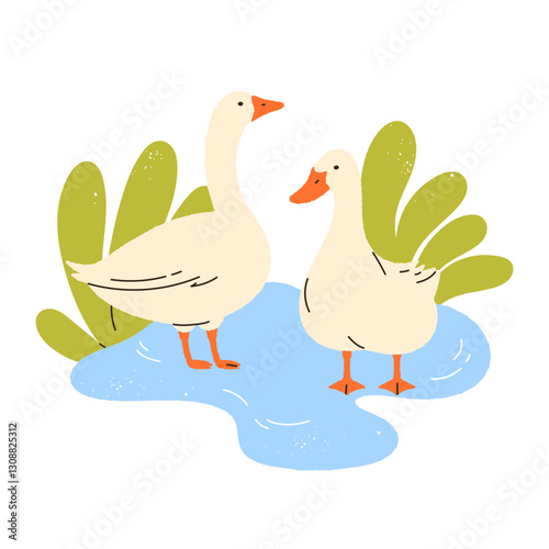 Two geese in pond. Domestic animals outdoors. Poultry farming concept. Harmony with nature vibe. Cottagecore and rustic farm countryside aesthetic. Isolated vector illustration
