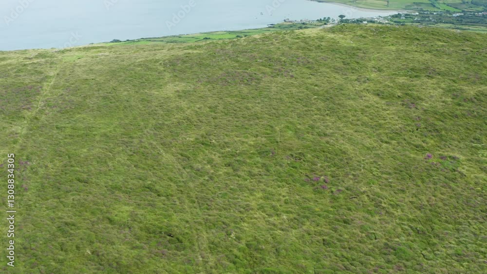 Revealing a mountain with panoramic views of plantations in the Conor Pass Drive Dingle Peninsula region – An Chonair, Ireland. Revealing a mountain with panoramic views of plantations in the Conor Pass Drive Dingle Peninsula region – An Chonair, Ireland.