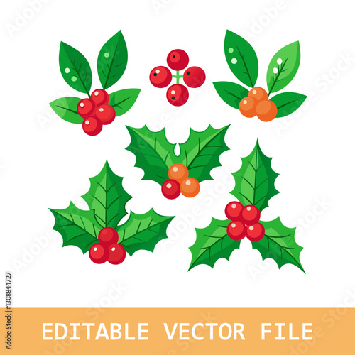 Christmas holly berries icon set. Vector illustration.