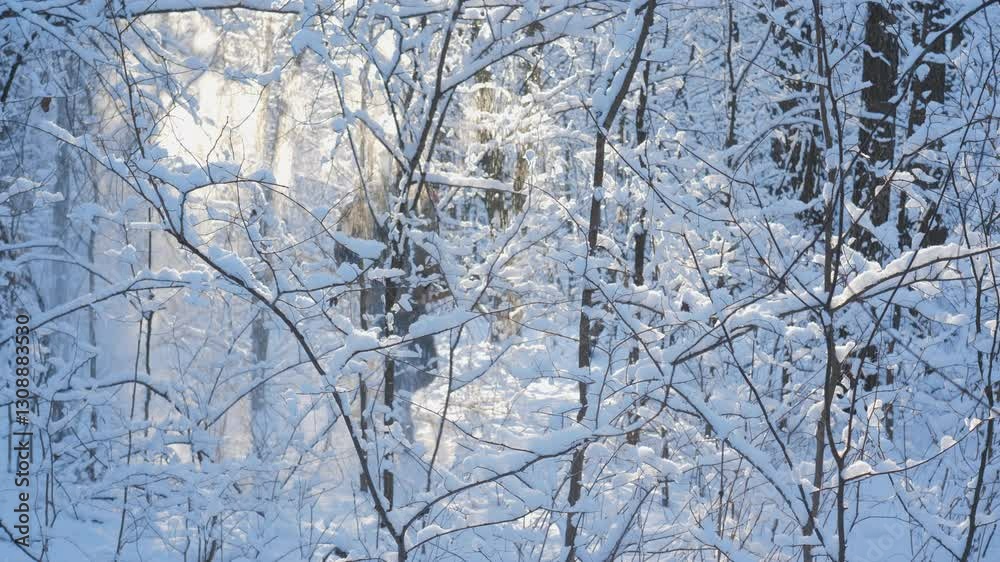 A person navigates through a snowy forest, wearing a backpack and winter attire. The trees are coated in white snow, creating a tranquil winter landscape. A person navigates through a snowy forest, wearing a backpack and winter attire. The trees are coated in white snow, creating a tranquil winter landscape.