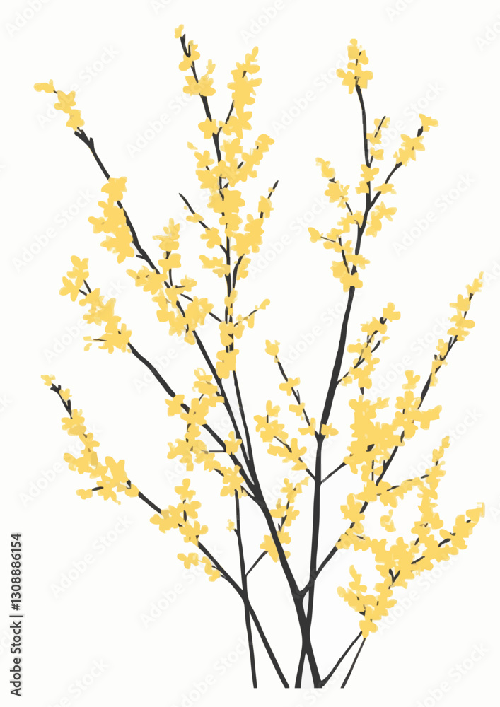 A vibrant display of yellow flowering branches against a clean, white background. A vibrant display of yellow flowering branches against a clean, white background.