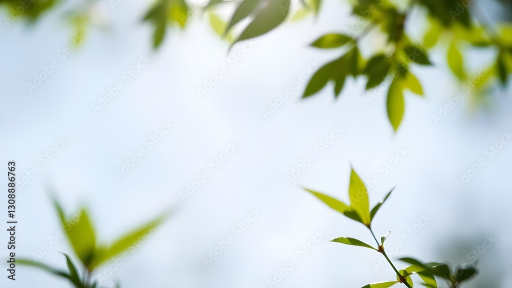 Fresh green leaves illuminated by sunlight, creating a serene and vibrant atmosphere, showcasing the beauty of nature in a soft, blurred background that evokes tranquility and harmony. Fresh green leaves illuminated by sunlight, creating a serene and vibrant atmosphere, showcasing the beauty of nature in a soft, blurred background that evokes tranquility and harmony.