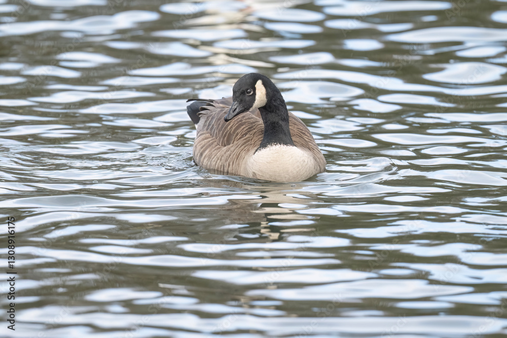 Fototapeta premium Generated image