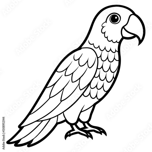 parrot on white background