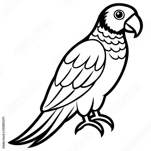 black and white parrot