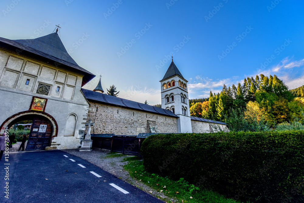 Fototapeta premium castle in the city