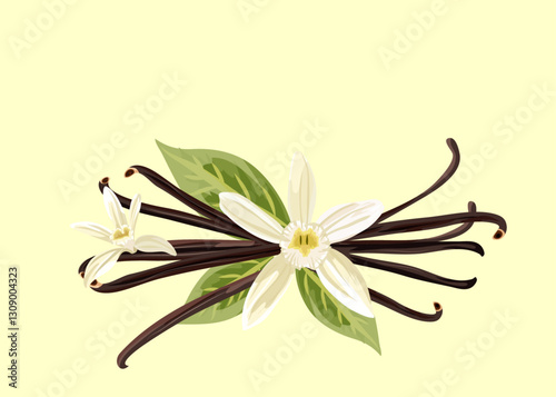 Vanilla flower with pods of vanilla and leaves on light pastel yelow background. Vector illustration. Healthy organic food, culinary herbs, food, natural healthy. 