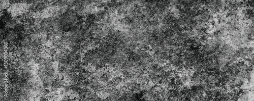 Wallpaper Mural A Gritty and Scratched Monochrome Background with Layers of Weathering and Natural Decay

 Torontodigital.ca