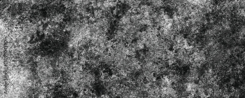 Wallpaper Mural A Gritty and Scratched Monochrome Background with Layers of Weathering and Natural Decay

 Torontodigital.ca