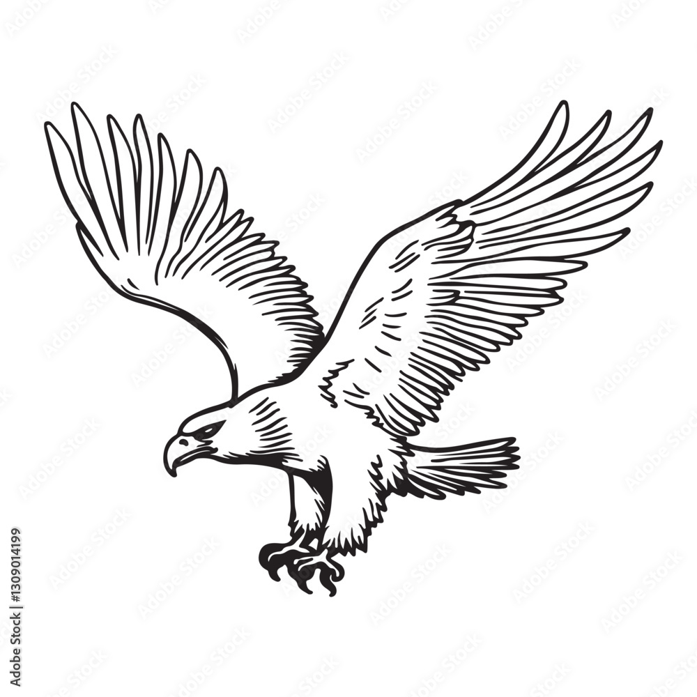 Fototapeta premium Eagle Bird Vector Art