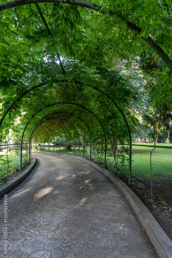 Fototapeta premium A peaceful park pathway bordered by an arching fence, tall trees, and lush green lawns, ideal for a relaxing summer walk in an urban park, offering tranquility and natural beauty