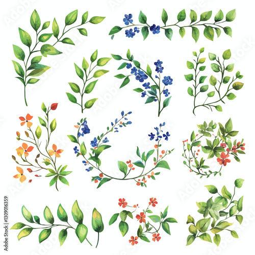 Watercolor floral elements on white background, spring botanical design.