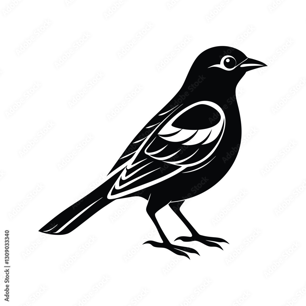 Fototapeta premium Realistic songbird illustration silhouette isolated on white background