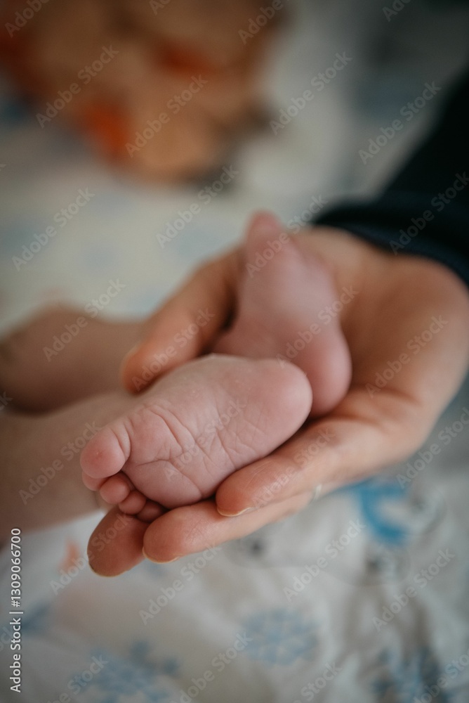 Tender moment with a newborn's foot cradled in an adult hand. Tender moment with a newborn's foot cradled in an adult hand.