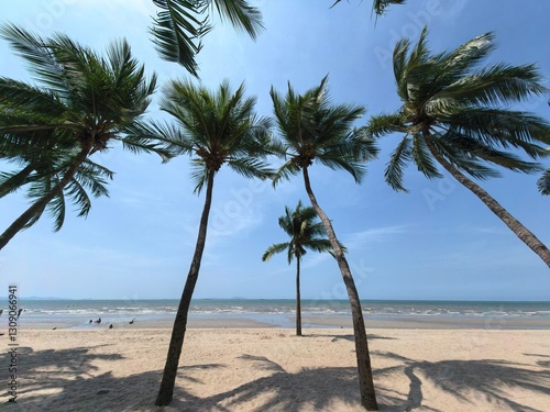Fototapeta Naklejka Na Ścianę i Meble -  tropical beach with palm trees
