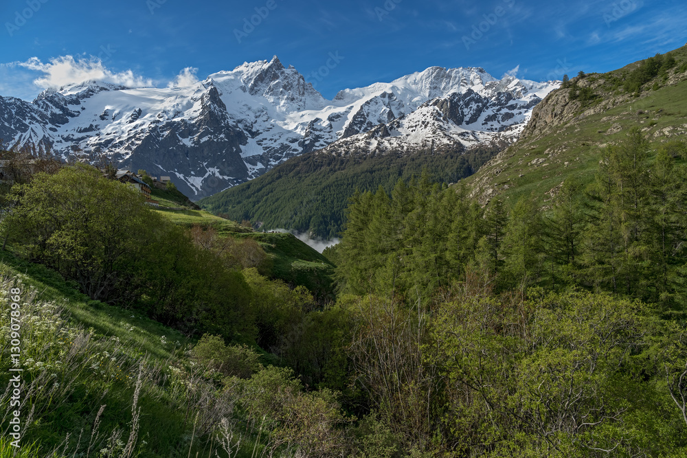 Fototapeta premium Le printemps au pays de la Meije , vue depuis le hameau des Terrasses à la Grave , Oisans Hautes Alpes