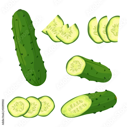 Set of fresh green cucumber Whole and sliced cucumber, slices and halves. Vector illustration of healthy food, farm vegetables on white background.