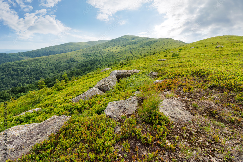 stones and rocks on the slope of alpine meadow. natural environment. summer mountain landscape with cloudy sky. grassy hill top in the distant background. rolling scenery with open vista