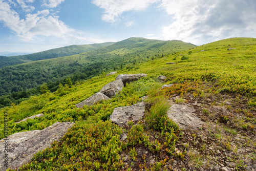 Obraz na płótnie stones and rocks on the slope of alpine meadow. natural environment. summer mountain landscape with cloudy sky. grassy hill top in the distant background. rolling scenery with open vista w salonie