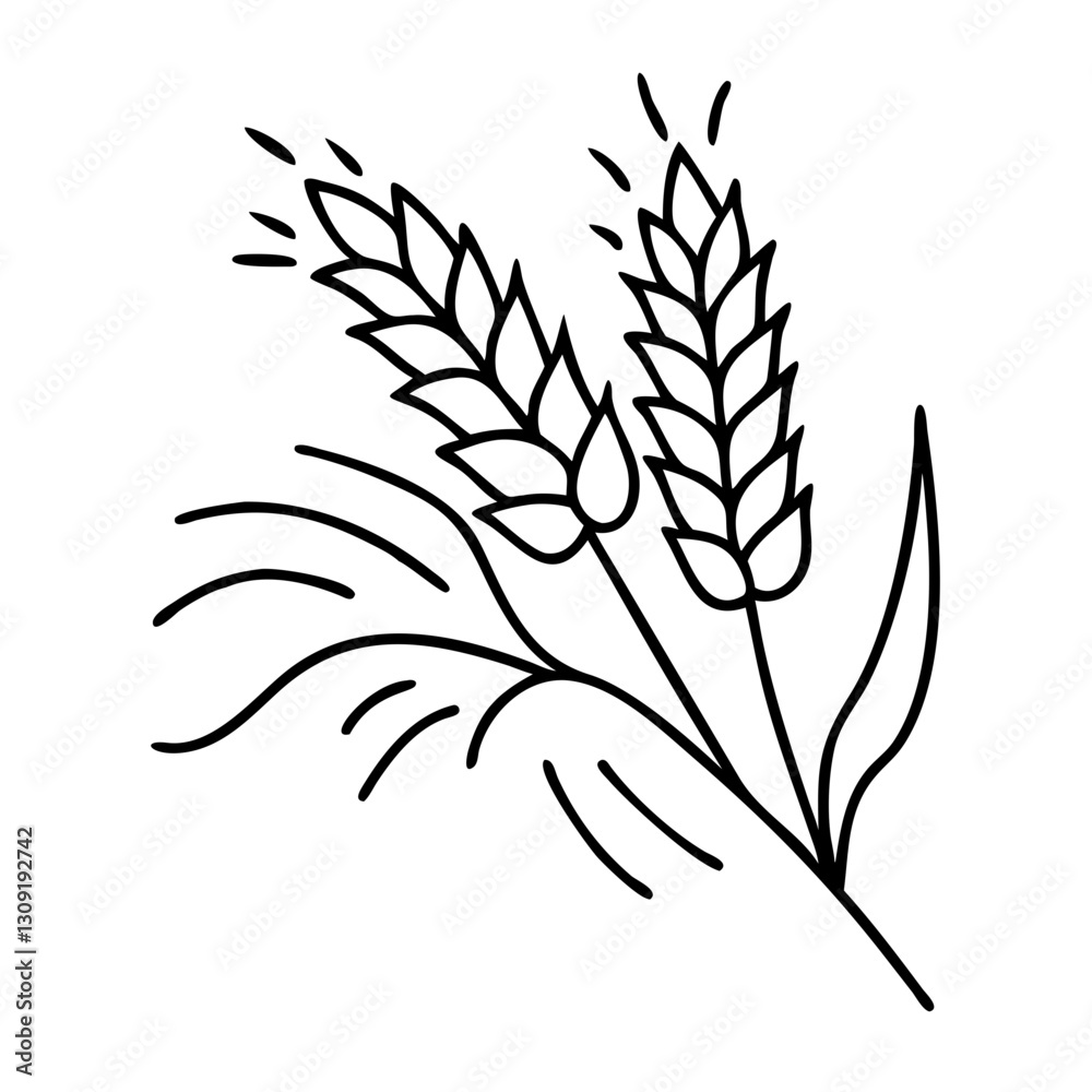 Fototapeta premium Vector Illustration Wheat Ears Outline Agriculture Symbol for Design or Coloring