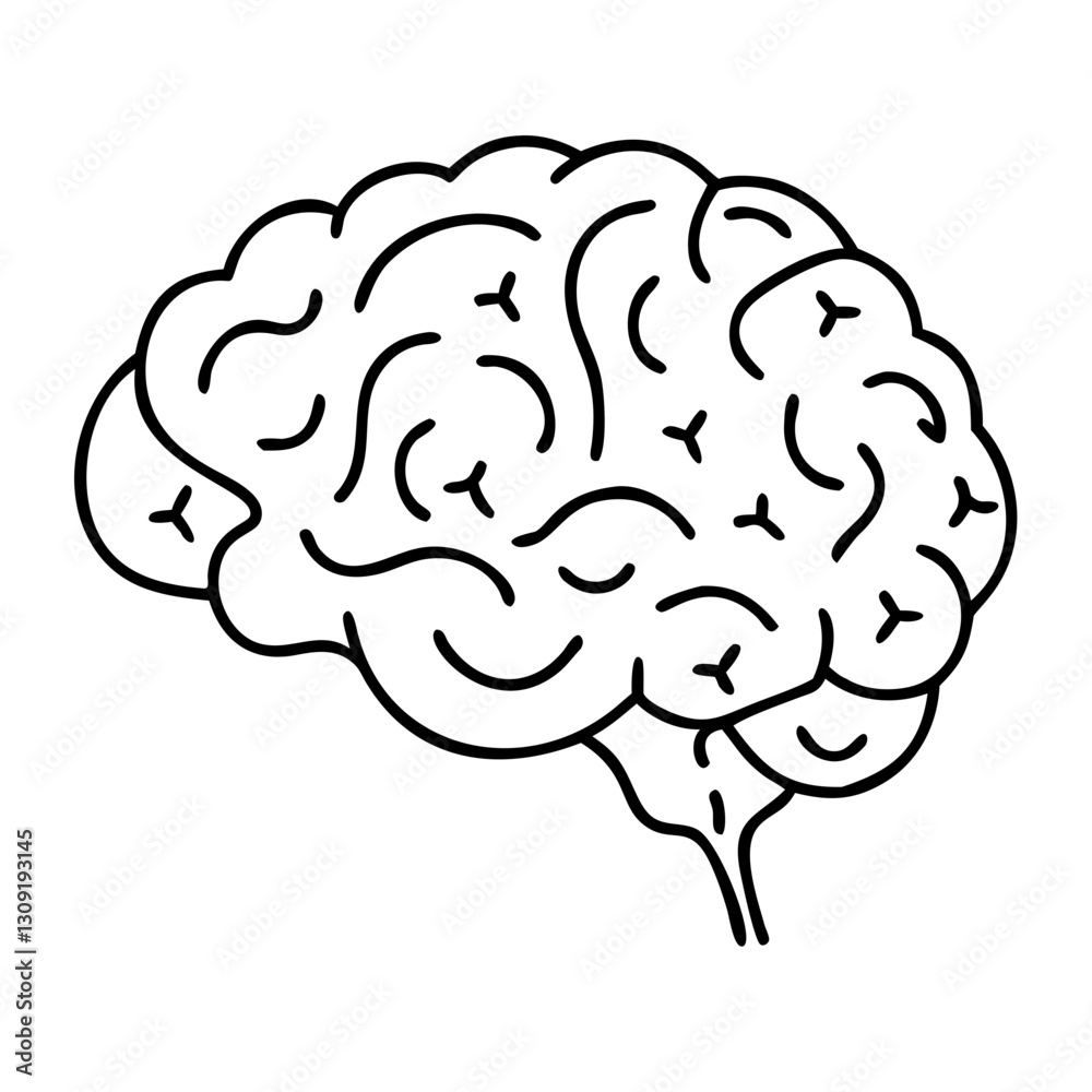 Brain Outline Vector Illustration for Educational and Creative Use Brain Outline Vector Illustration for Educational and Creative Use
