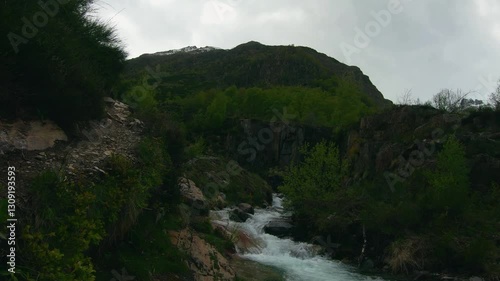 ground view hike next to fast flowing mountain stream in lush valley