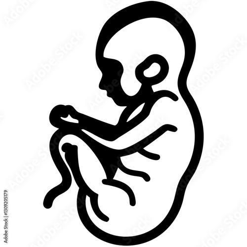 Human Fetus Embryo Vector Illustration for Medical Education and Biology Projects