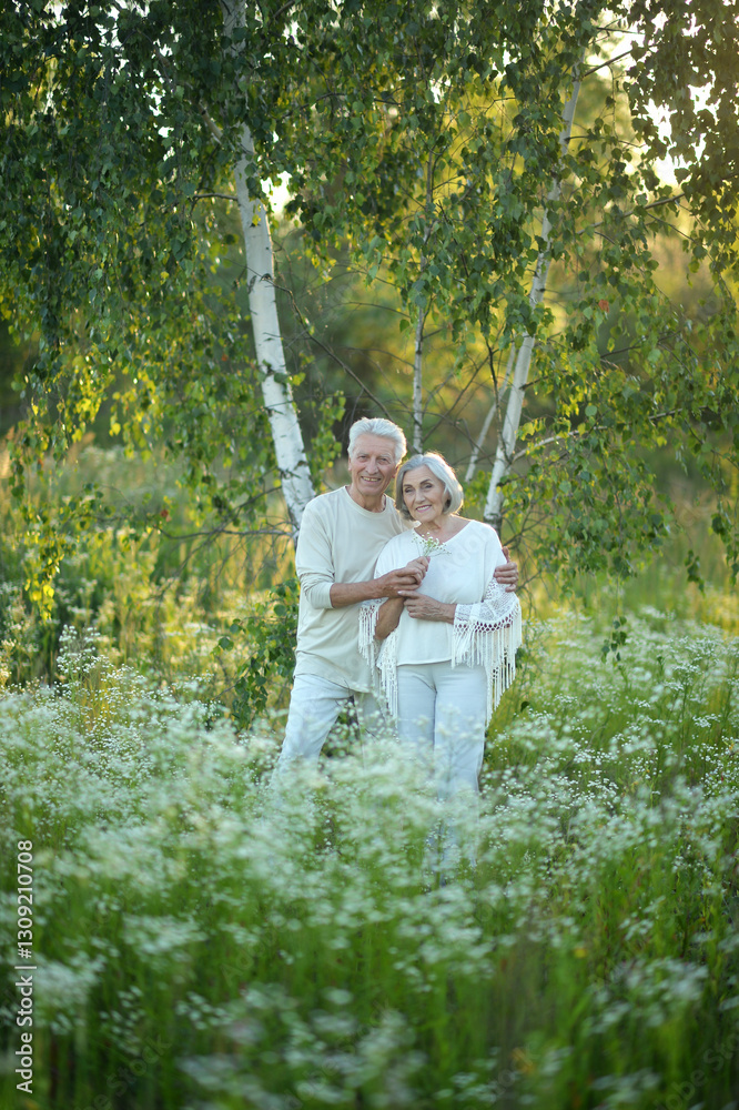 Loving mature couple in the park in summer