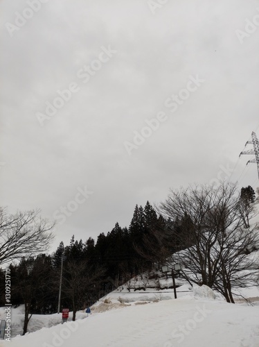 Yuzawa, Japan on a cold March day