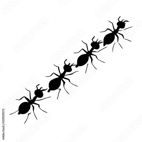 ant isolated on white background