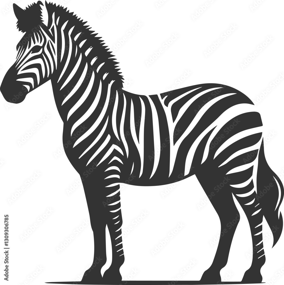 Obraz premium Zebra standing with ears perked up and alert animal silhouette